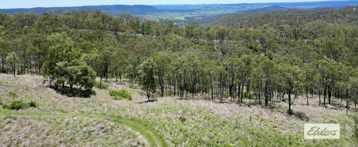 1465 Blacksnake Road, Black Snake, QLD, 4600 - Image 16