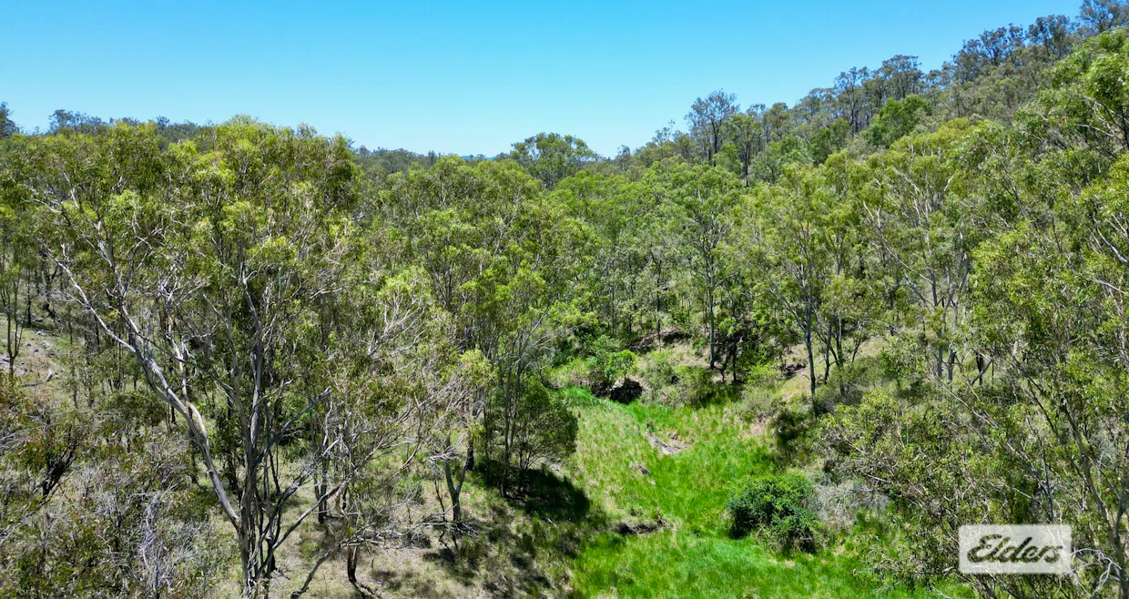 1465 Blacksnake Road, Black Snake, QLD, 4600 - Image 9