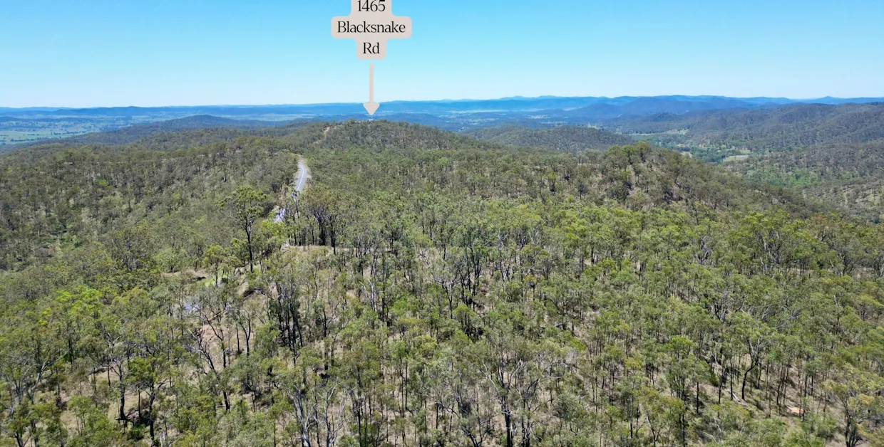 1465 Blacksnake Road, Black Snake, QLD, 4600 - Image 1