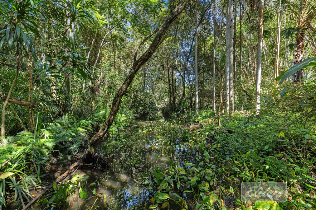 35 Lake MacDonald Drive, Cooroy, QLD, 4563 - Image 16