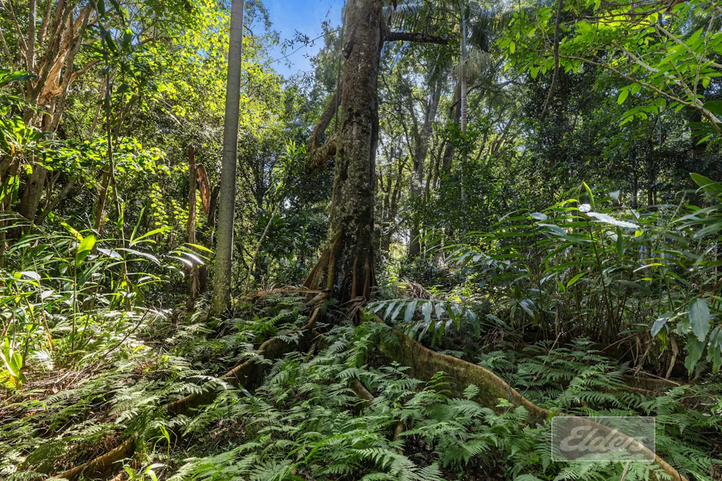 35 Lake MacDonald Drive, Cooroy, QLD, 4563 - Image 17