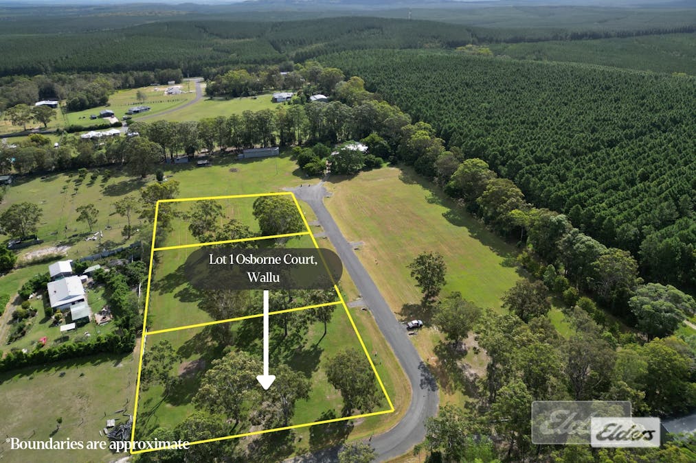 81 Osborne Court, Wallu, QLD, 4570 - Image 6