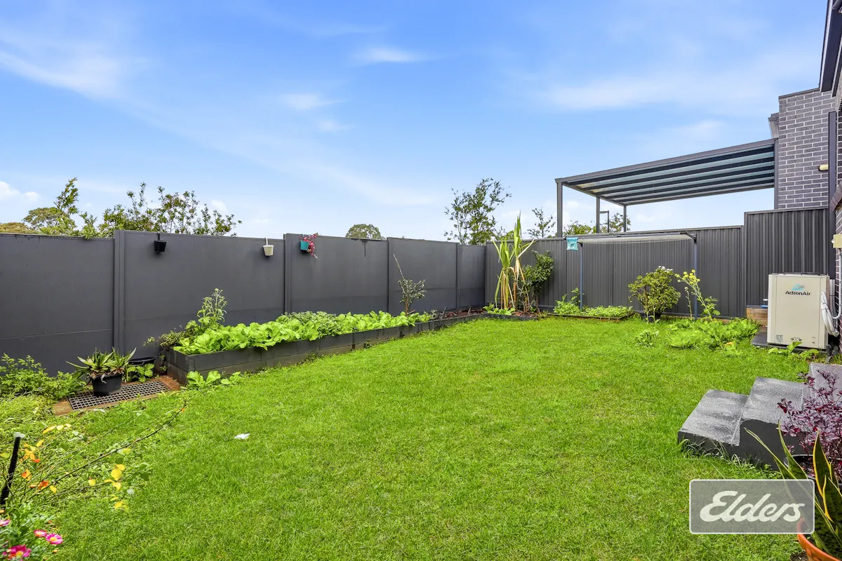 29 Windeyer Street — photo 24 of 26