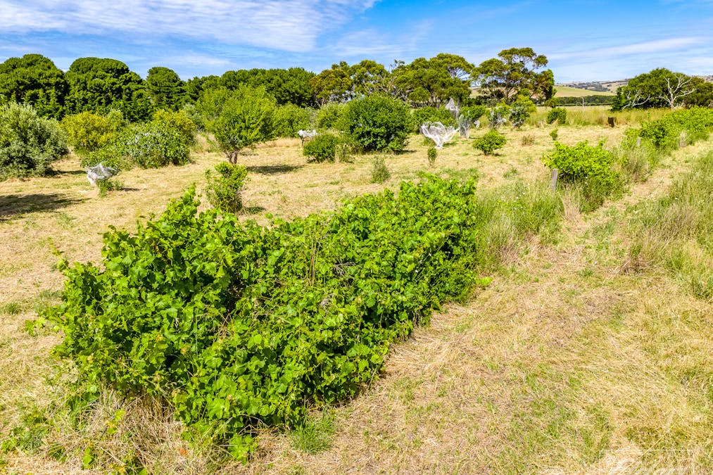 94 Flagstaff Hill Road, Middleton, SA, 5213 - Image 19