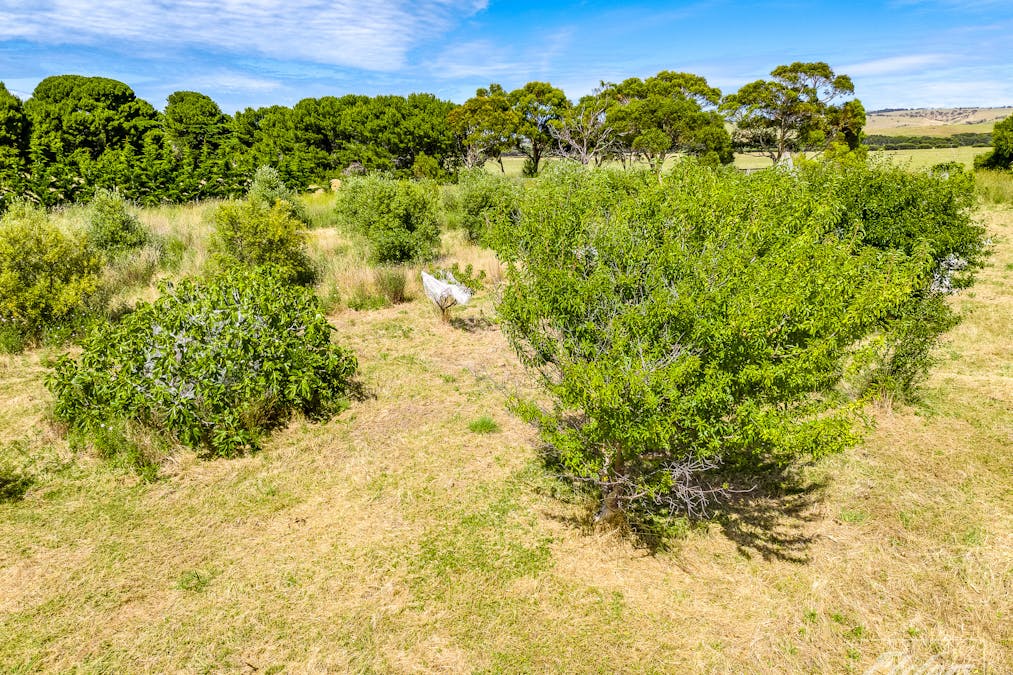 94 Flagstaff Hill Road, Middleton, SA, 5213 - Image 20
