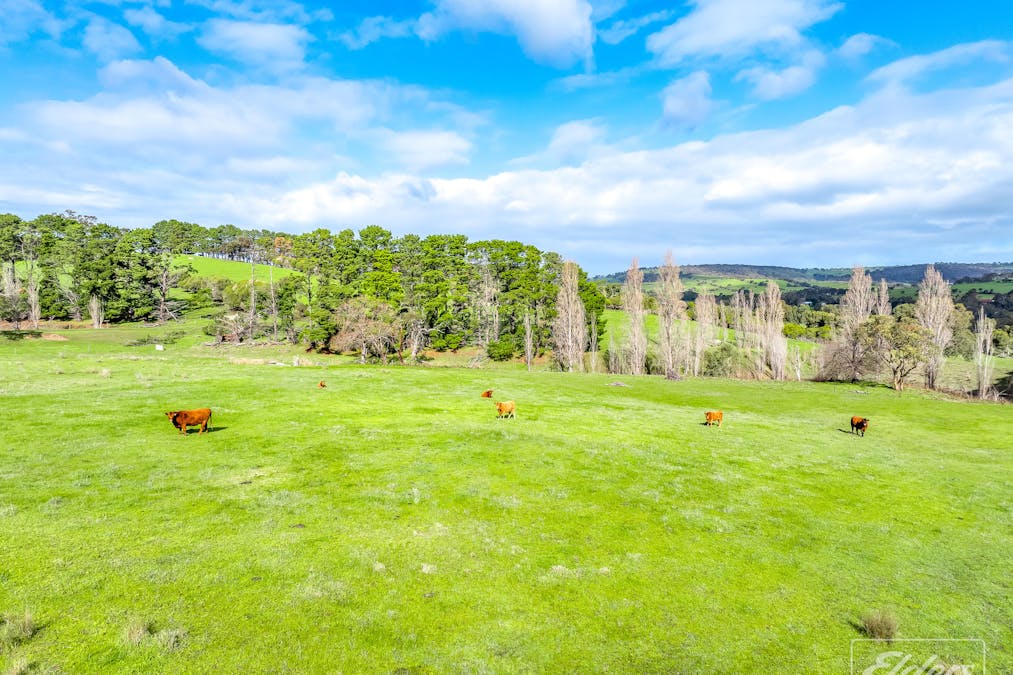 31 Crossman Road, Lower Inman Valley, SA, 5211 - Image 29