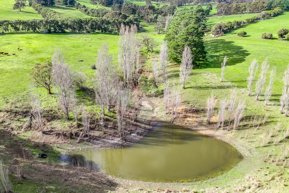 31 Crossman Road, Lower Inman Valley, SA, 5211 - Image 33