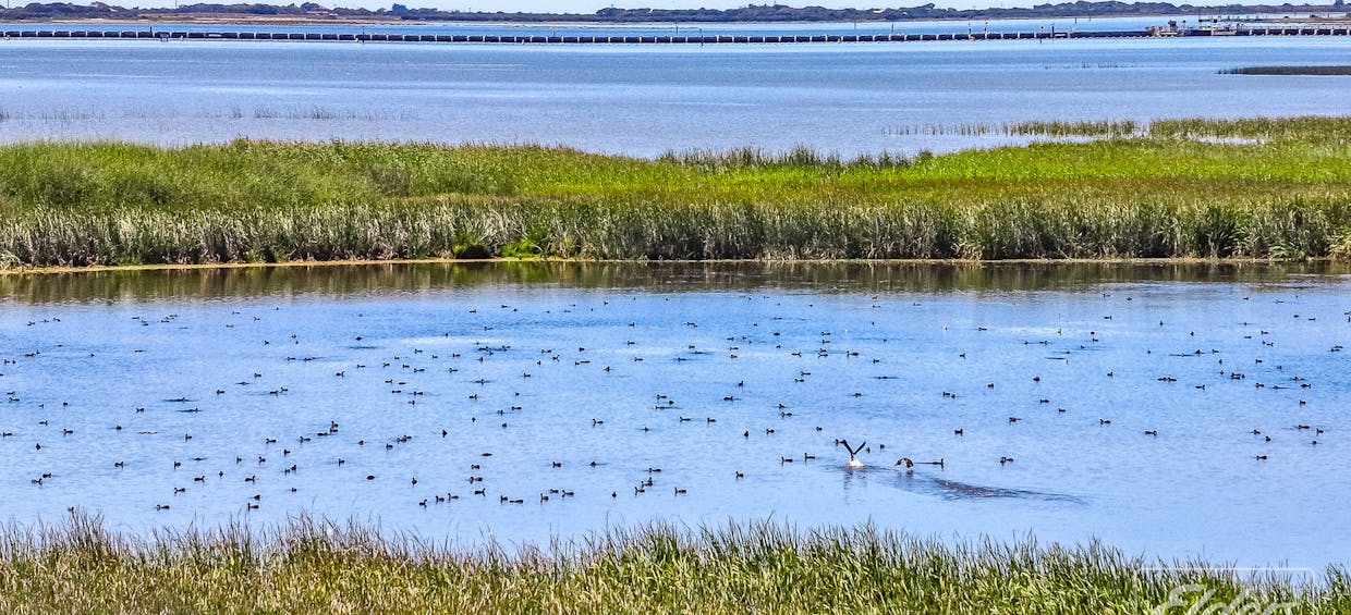 5 Barrage Road, Goolwa South, SA, 5214 - Image 28