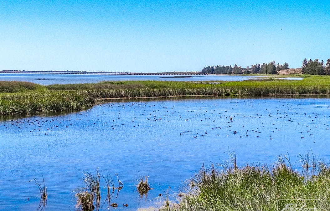 5 Barrage Road, Goolwa South, SA, 5214 - Image 27