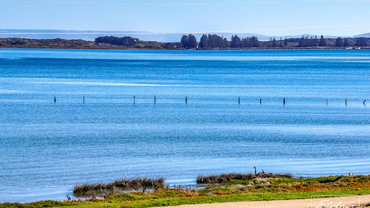 Lots 1 & 2 Bongalong Road, Hindmarsh Island, SA, 5214 - Image 7