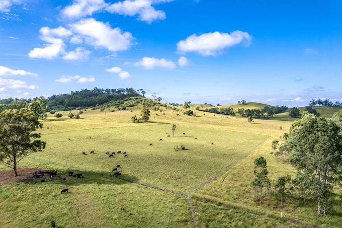 420 Cut Hill Road, Cobbitty, NSW, 2570 - Image 1