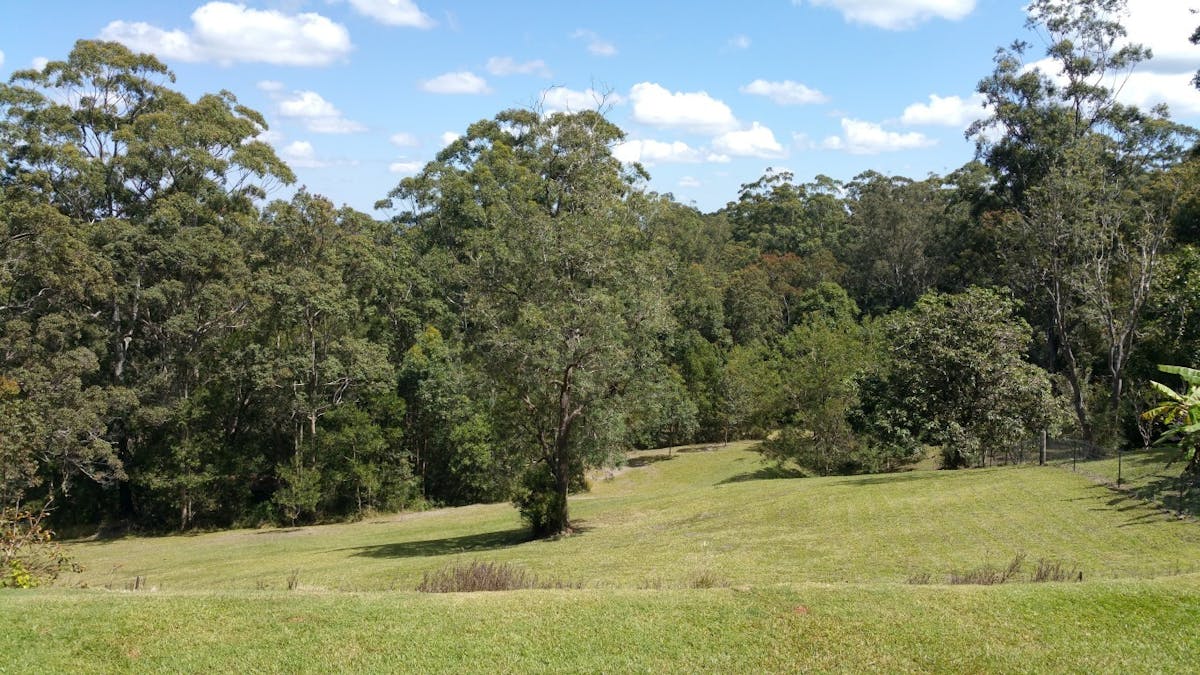 Wondecla, QLD, 4887 - Image 9