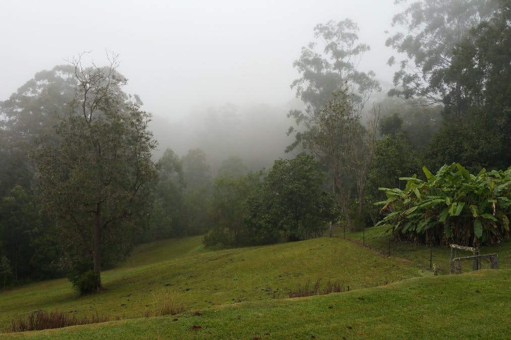 Wondecla, QLD, 4887 - Image 13