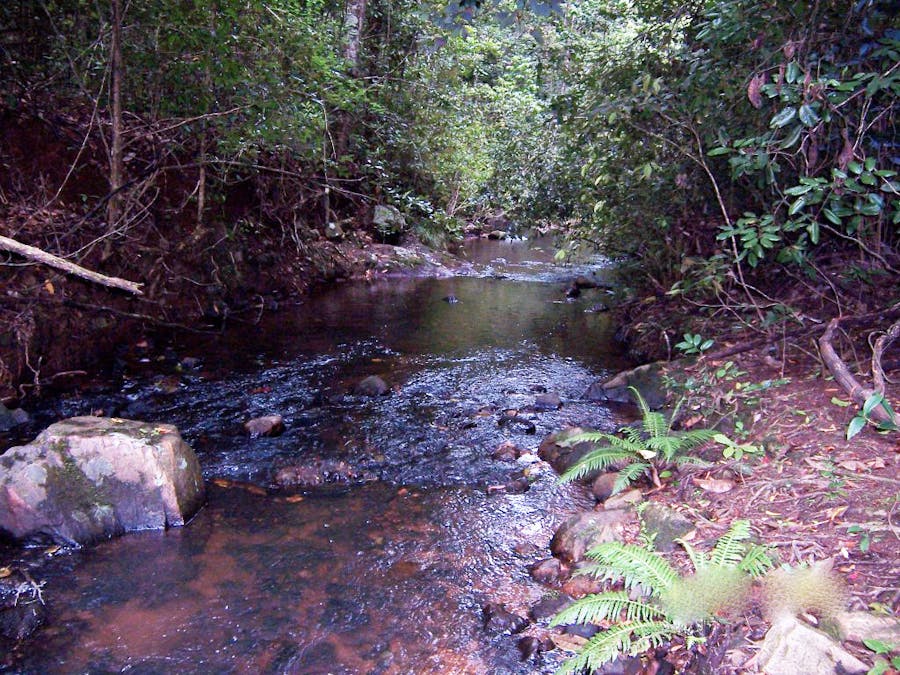 Wondecla, QLD, 4887 - Image 15