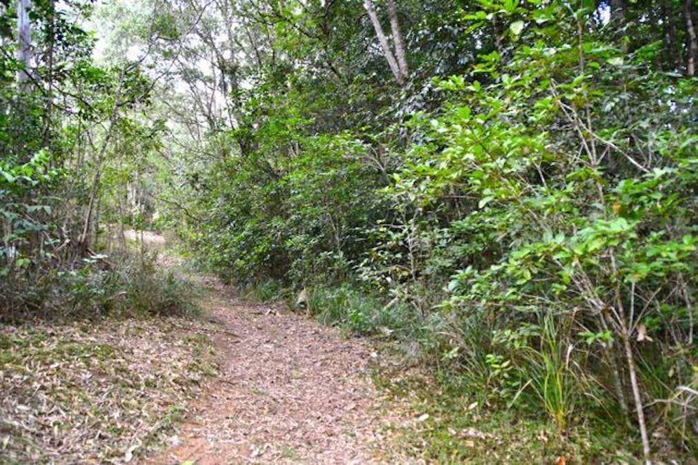 Wondecla, QLD, 4887 - Image 4