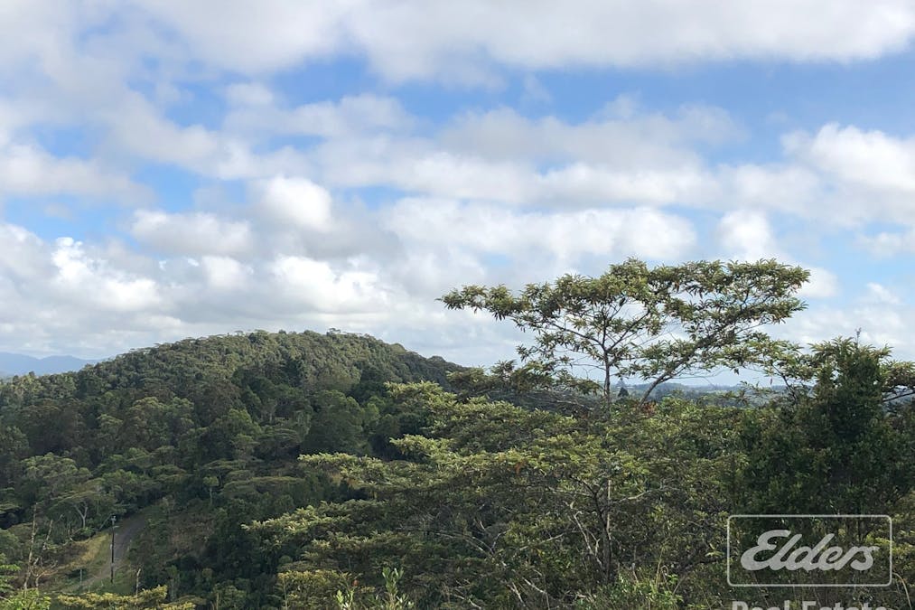 274 Hitchconole Road, Tarzali, QLD, 4885 - Image 11