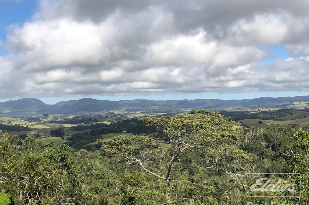 274 Hitchconole Road, Tarzali, QLD, 4885 - Image 12
