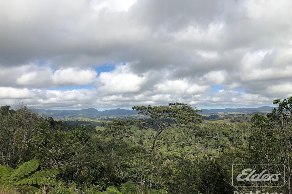 274 Hitchconole Road, Tarzali, QLD, 4885 - Image 21