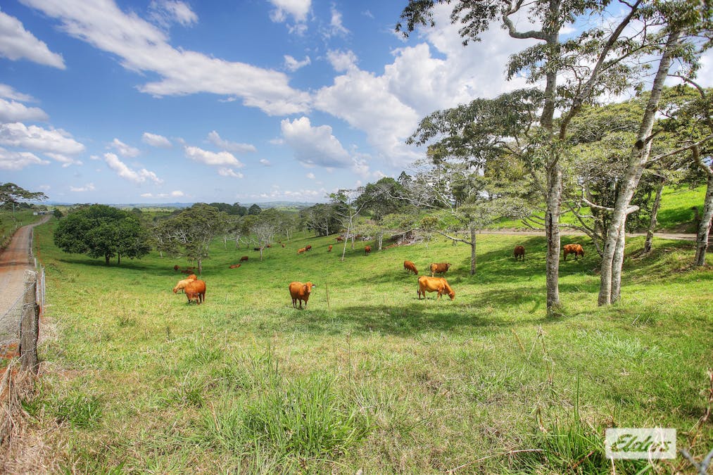 686 Seamark Road, Tarzali, QLD, 4885 - Image 3