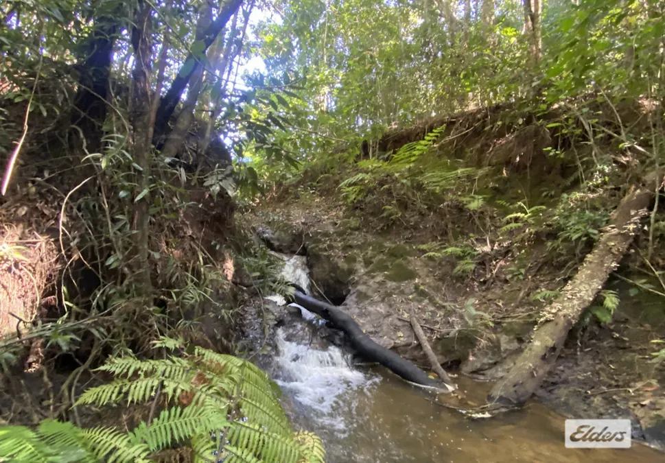1/Lumholtz Close, Malanda, QLD, 4885 - Image 4