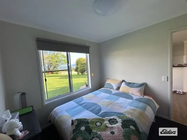 5379 Palmerston Highway, Millaa Millaa, QLD, 4886 - Image 5