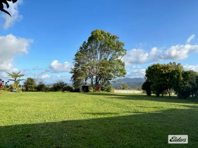 5379 Palmerston Highway, Millaa Millaa, QLD, 4886 - Image 11