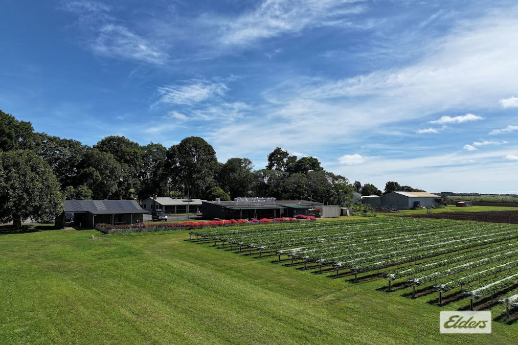 255 Marks Lane, Atherton, QLD, 4883 - Image 1