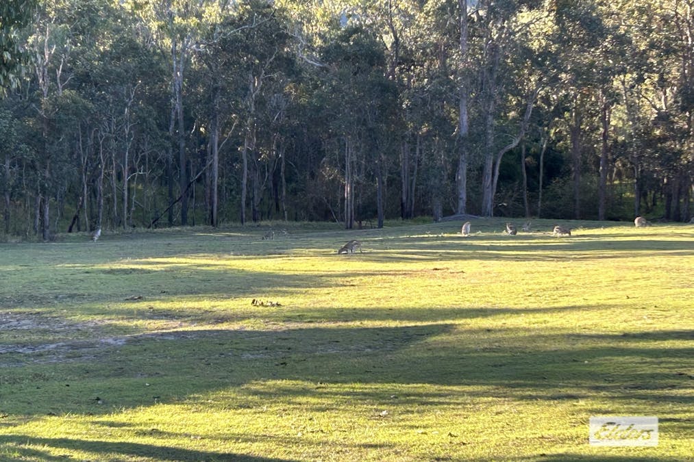 D5/4-28  Tinaroo Falls Dam Road, Tinaroo, QLD, 4872 - Image 12