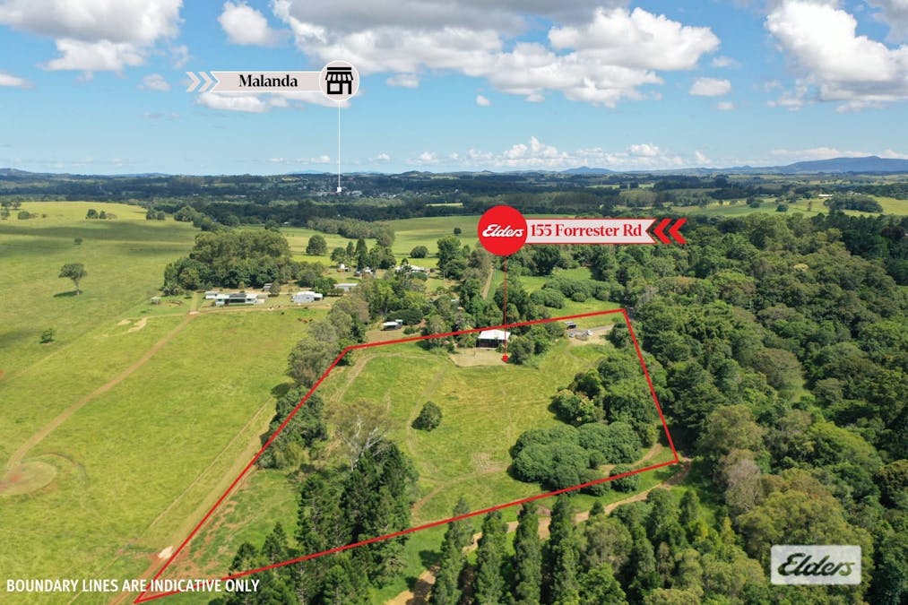 155 Forrester Road, Malanda, QLD, 4885 - Image 22