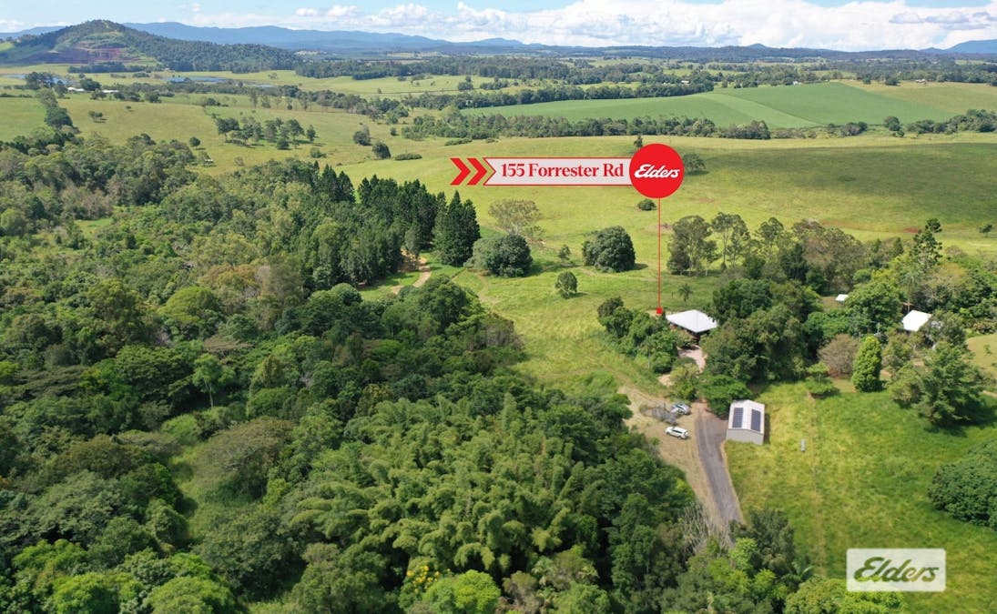 155 Forrester Road, Malanda, QLD, 4885 - Image 21
