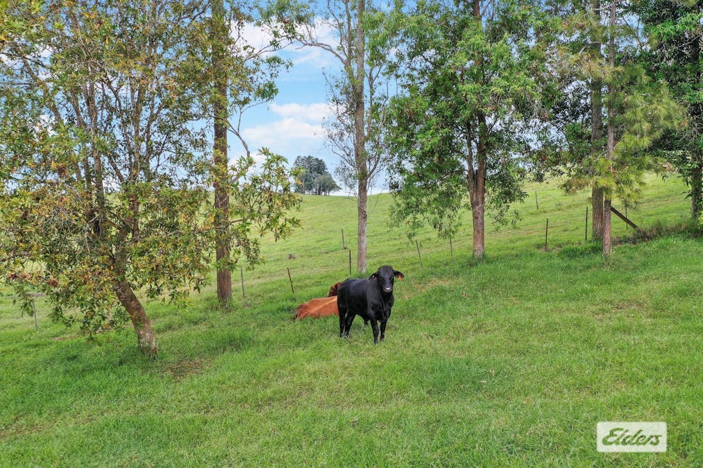 155 Forrester Road, Malanda, QLD, 4885 - Image 19