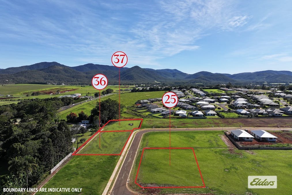 Tucker Street, Atherton, QLD, 4883 - Image 8