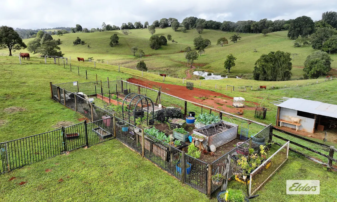 1188 Millaa Millaa Malanda Road, Tarzali, QLD, 4885 - Image 15