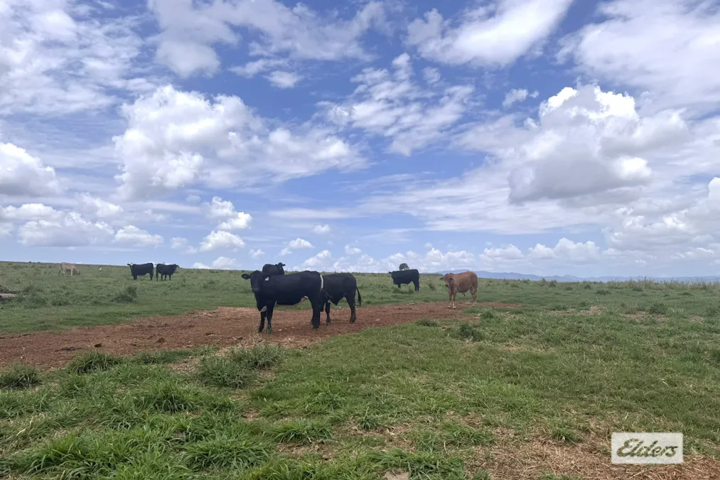 38/Sims Road, Tolga, QLD, 4882 - Image 3