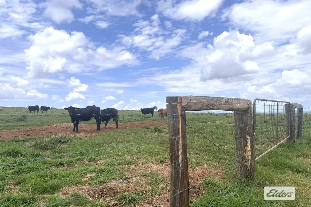 38/Sims Road, Tolga, QLD, 4882 - Image 4