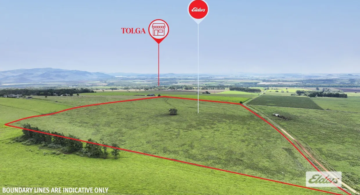 38/Sims Road, Tolga, QLD, 4882 - Image 5