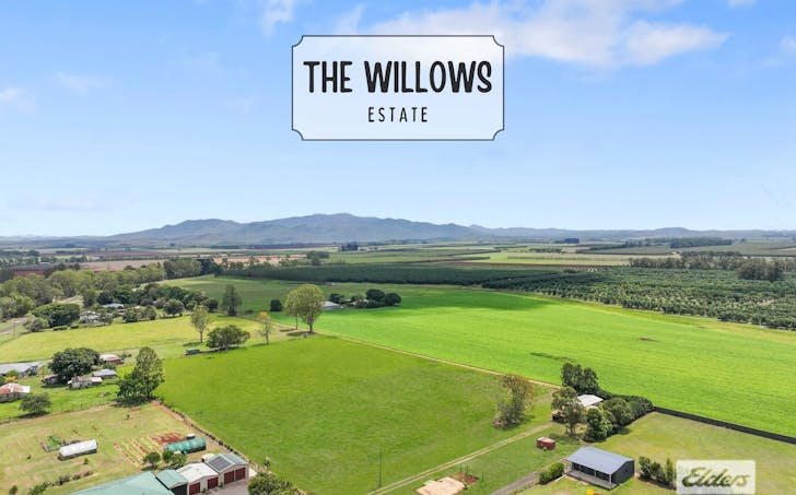 Daly Street, Tolga, QLD, 4882 - Image 3