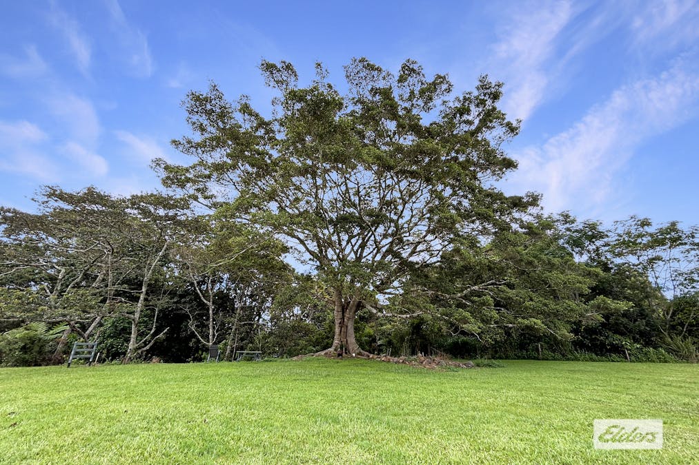 39 Lorensen Close, Malanda, QLD, 4885 - Image 4