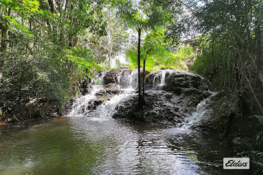 28 Imrie Close, Lake Eacham, QLD, 4884 - Image 3