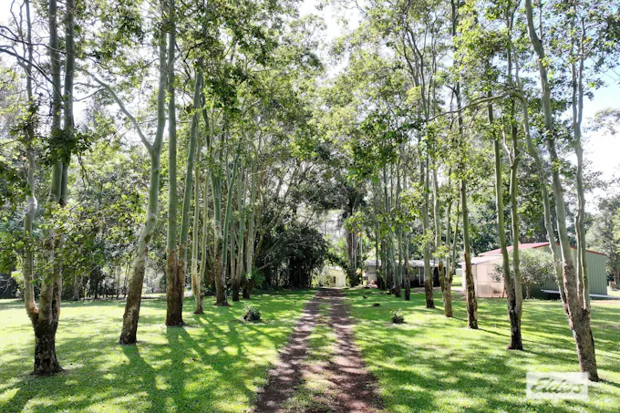 28 Imrie Close, Lake Eacham, QLD, 4884 - Image 1