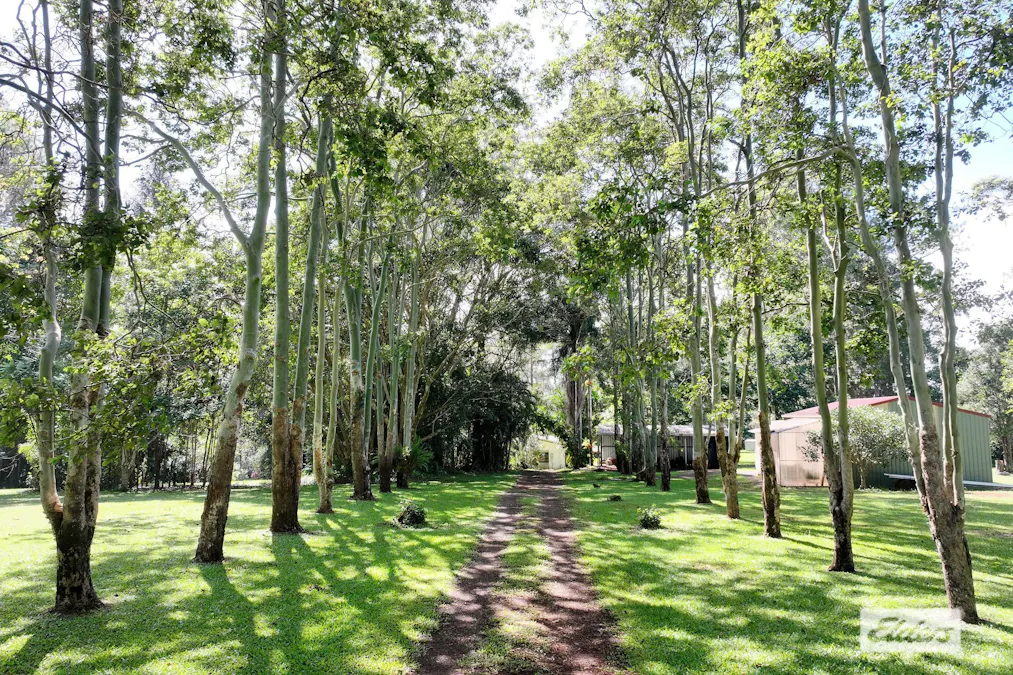 28 Imrie Close, Lake Eacham, QLD, 4884 - Image 1