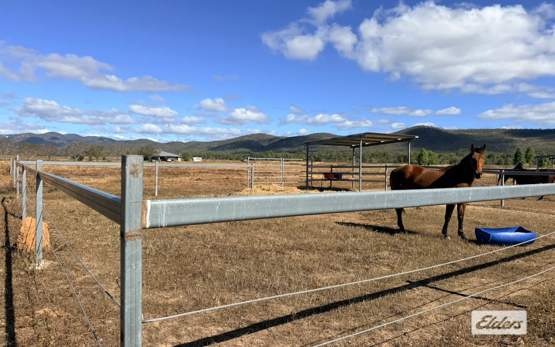 50 Oaky Valley Avenue, Mutchilba, QLD, 4872 - Image 5