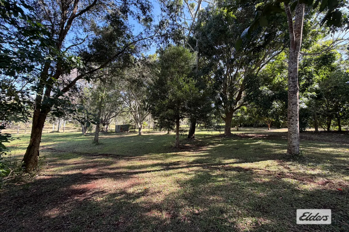 Equestrian Drive — photo 5 of 8