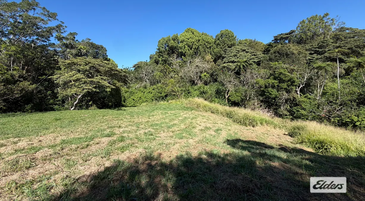 36 Third Avenue, Tarzali, QLD, 4885 - Image 28