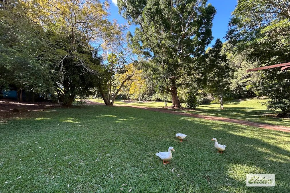 198 Lakes Drive, Lake Eacham, QLD, 4884 - Image 18