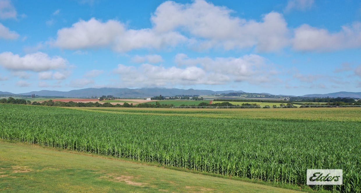 Lot 44 McKeown Road, East Barron, QLD, 4883 - Image 12