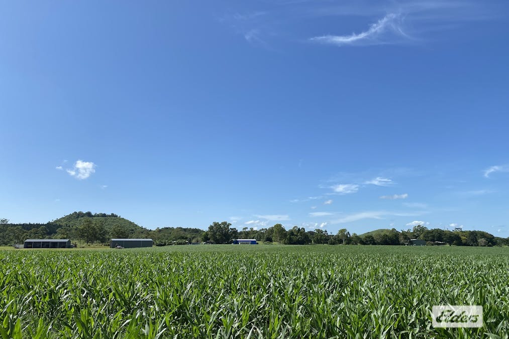 Lot 44 McKeown Road, East Barron, QLD, 4883 - Image 13