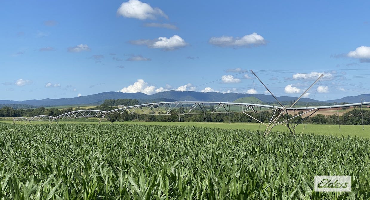 Lot 44 McKeown Road, East Barron, QLD, 4883 - Image 14