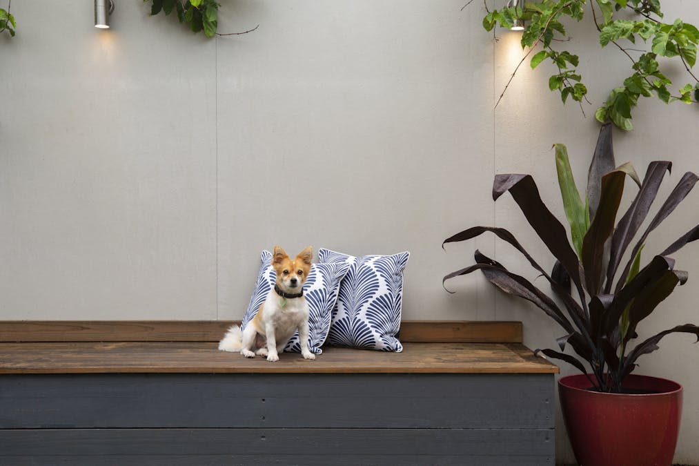 26 Azalea Avenue, Daisy Hill, QLD, 4127 - Image 15