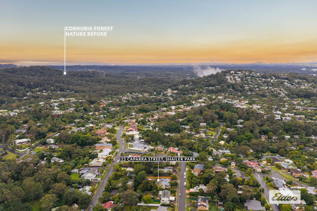 22 Caparra Street, Shailer Park, QLD, 4128 - Image 31